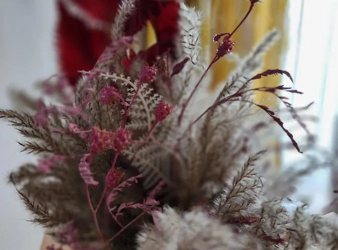 Sweet 21 Apartment *